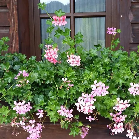 Weisser Hirsch Bed & Breakfast Fussen